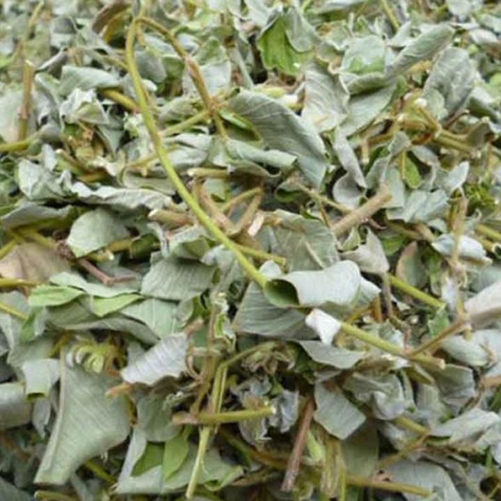 500gr kim tiền thảo phơi khô - Dùng cho người bị sỏi thận