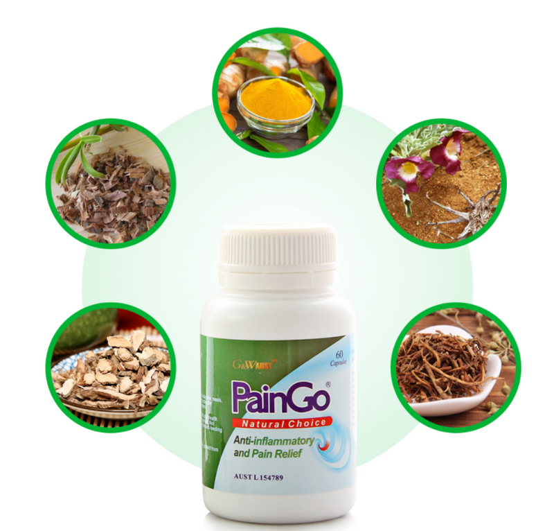 Paingo - Giảm đau nhức