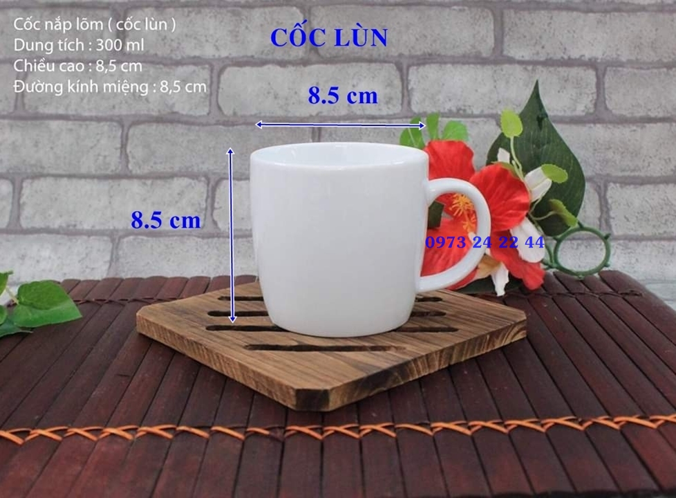 CỐC SỨ TRẮNG LY SỨ