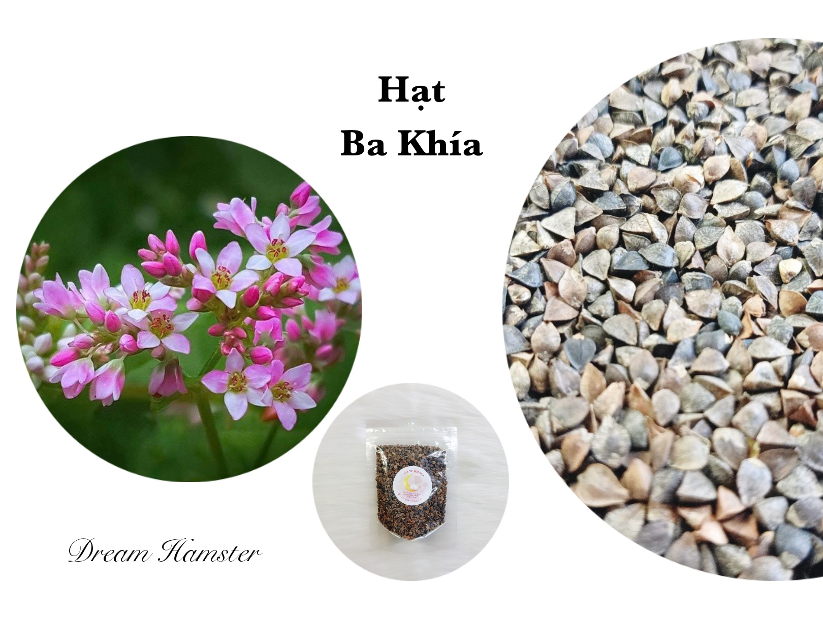 Hạt tam giác mạch/ba khía cho Hamster (100gr)