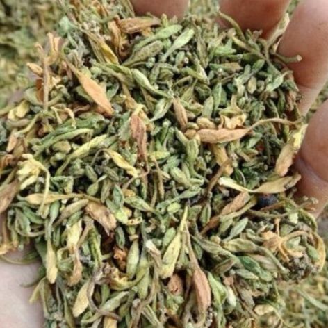 Trà Hoa Đu Đủ Đực Sấy Lạnh Thơm Ngon