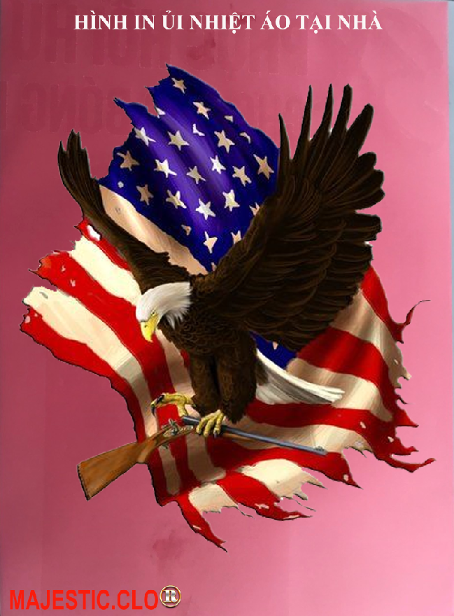 Hình ủi ép nhiệt-hình in áo- Logo American Eagle-Hình IN ÁO TẠI NHÀ RẤT ĐẸP-khuyến mãi -in pet chuyển nhiệt- ủi trực tiếp lên vải-MAJESTIC.CLO