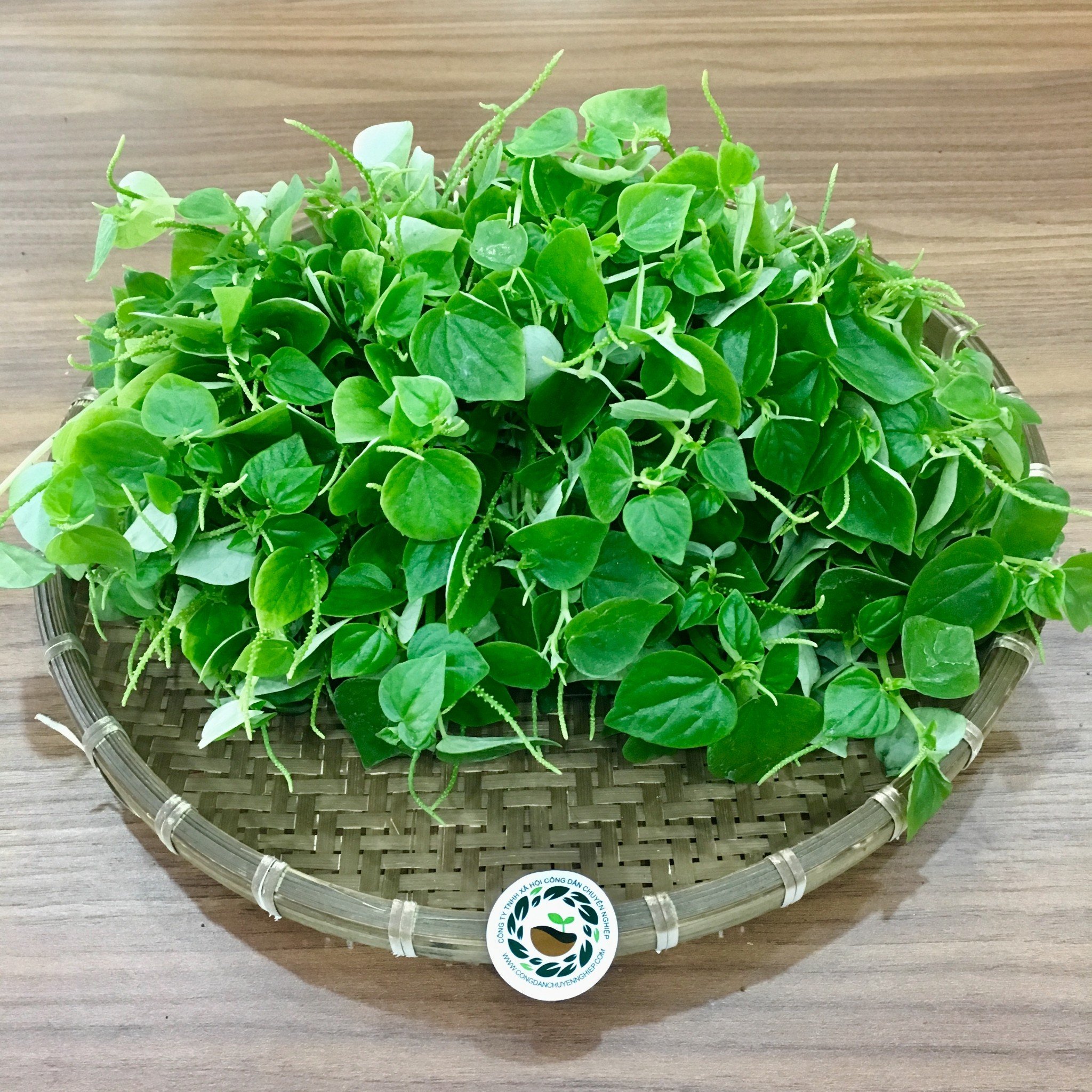 Hạt Giống Rau Càng Cua Giòn Ngon