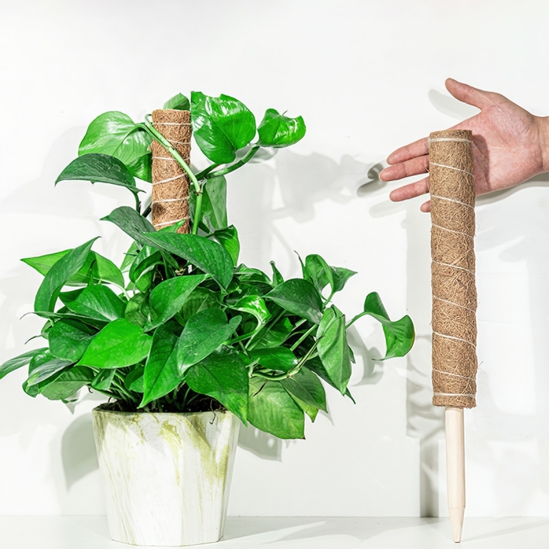 Trụ cột xơ dừa cho cây leo bám cột 30/40/50cm-HAUSE