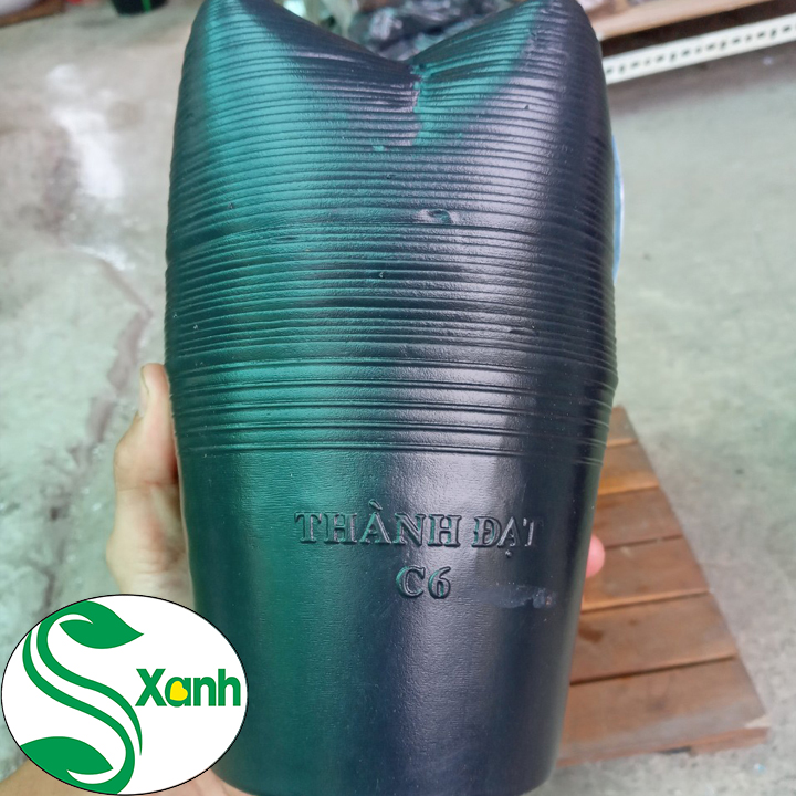 50 Chậu Nhựa Đen Trồng Cây C6