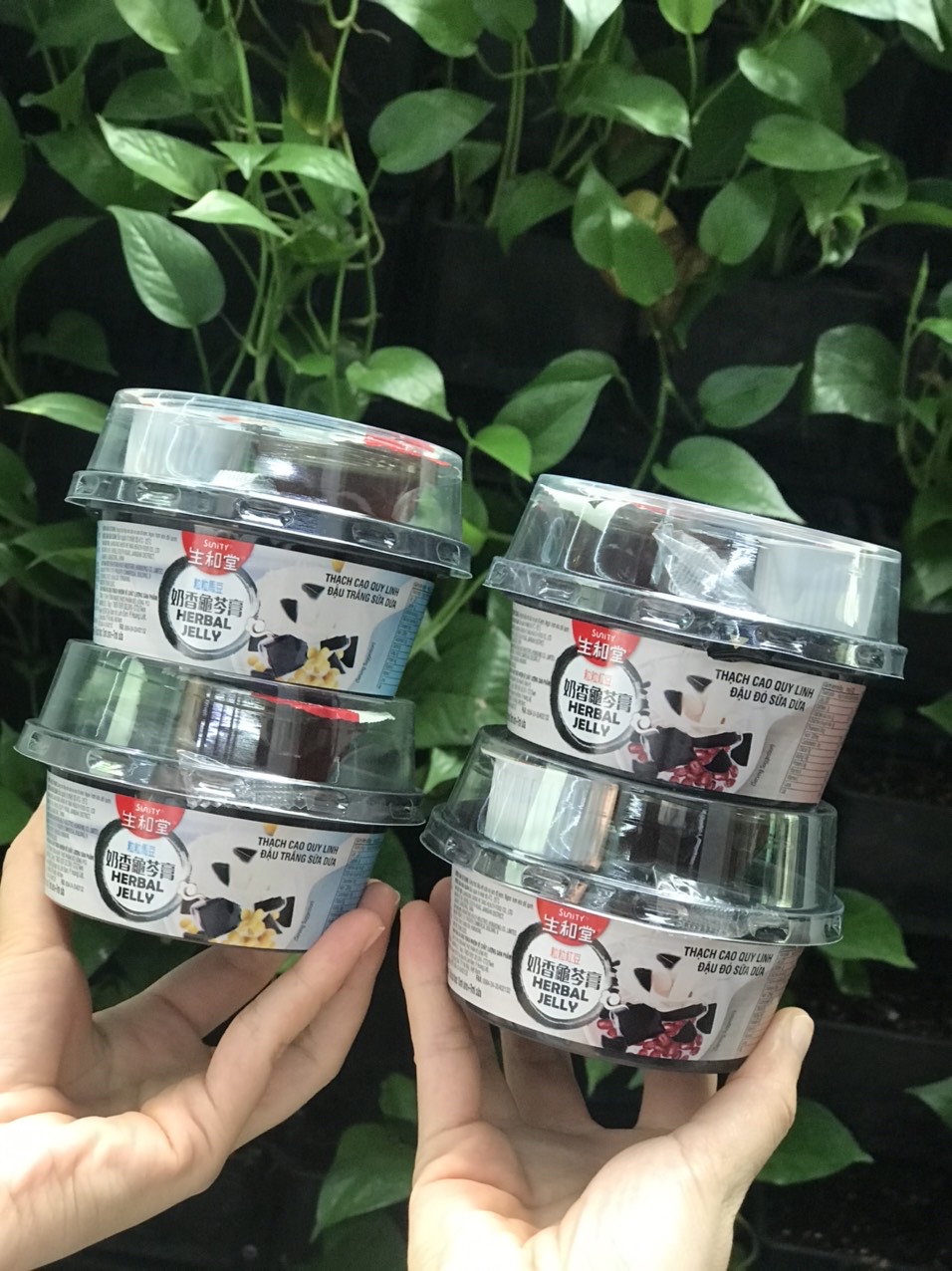 Thạch cao quy linh đậu đỏ sữa dừa 222g [Hàng nhập khẩu]