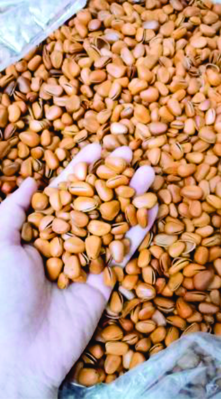 Hạt thông Mỹ 500g ngon