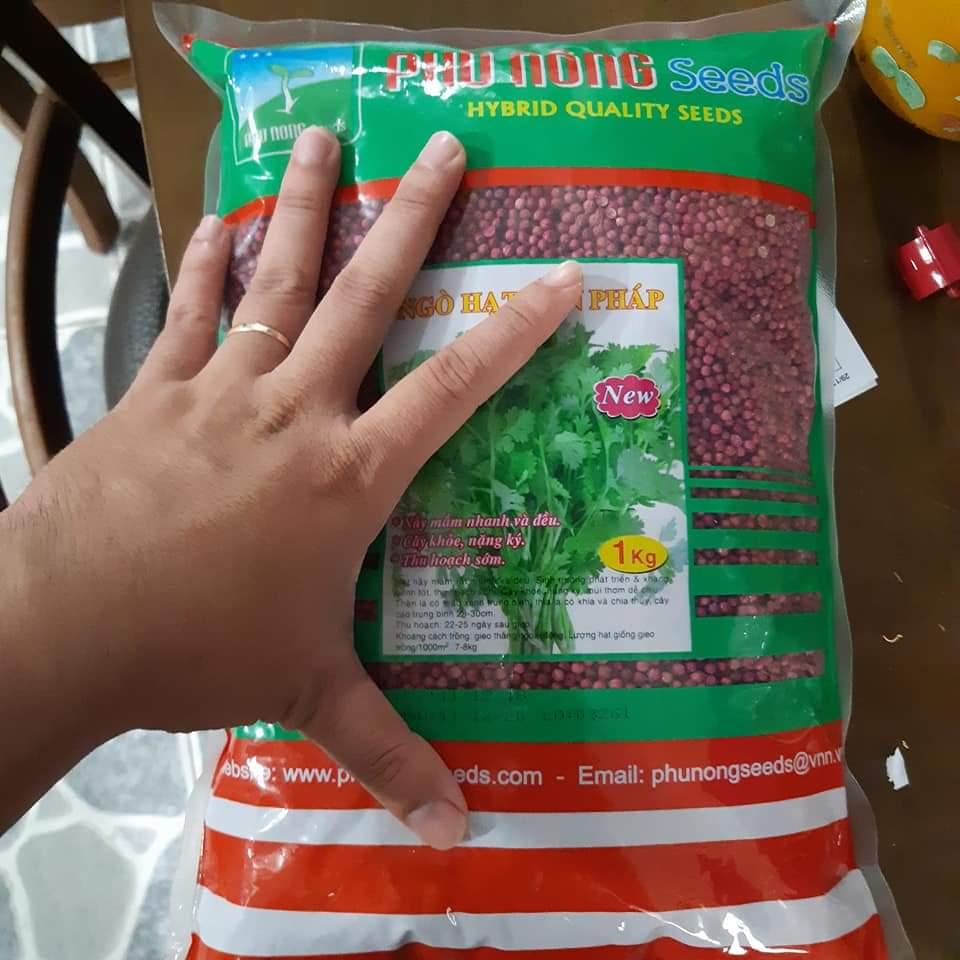 Hat giong Ngo Ri 100g