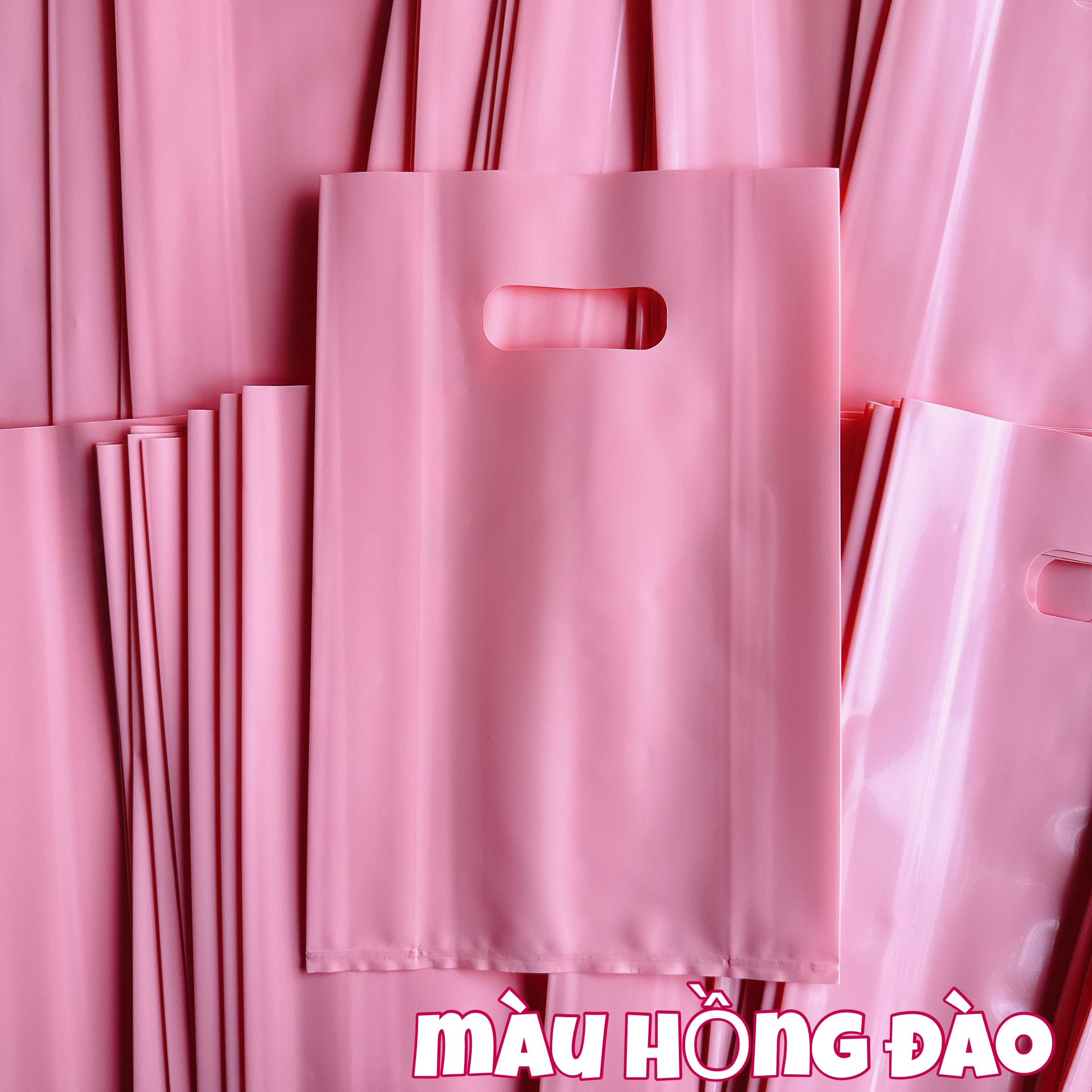 1kg TÚI HỘT XOÀI MÀU