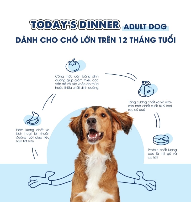 Thức Ăn Hạt Cho Chó Today's Dinner (Hàn Quốc) - Vị Gà Cá & Rau Củ - [Nông Trại Thú Cưng]