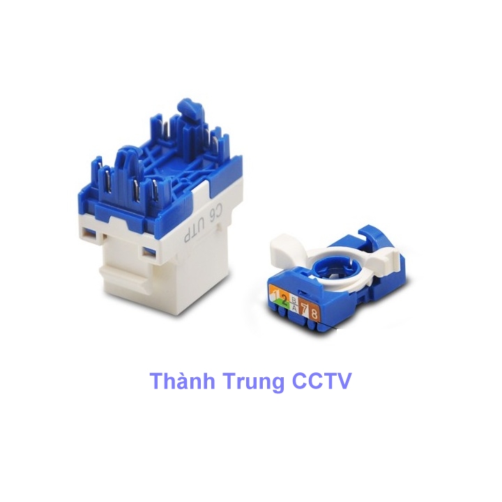 Nhân mạng âm tường Cat6 LTE