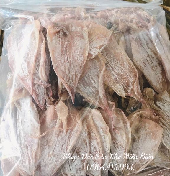 10 con MỰC KHÔ to như hình