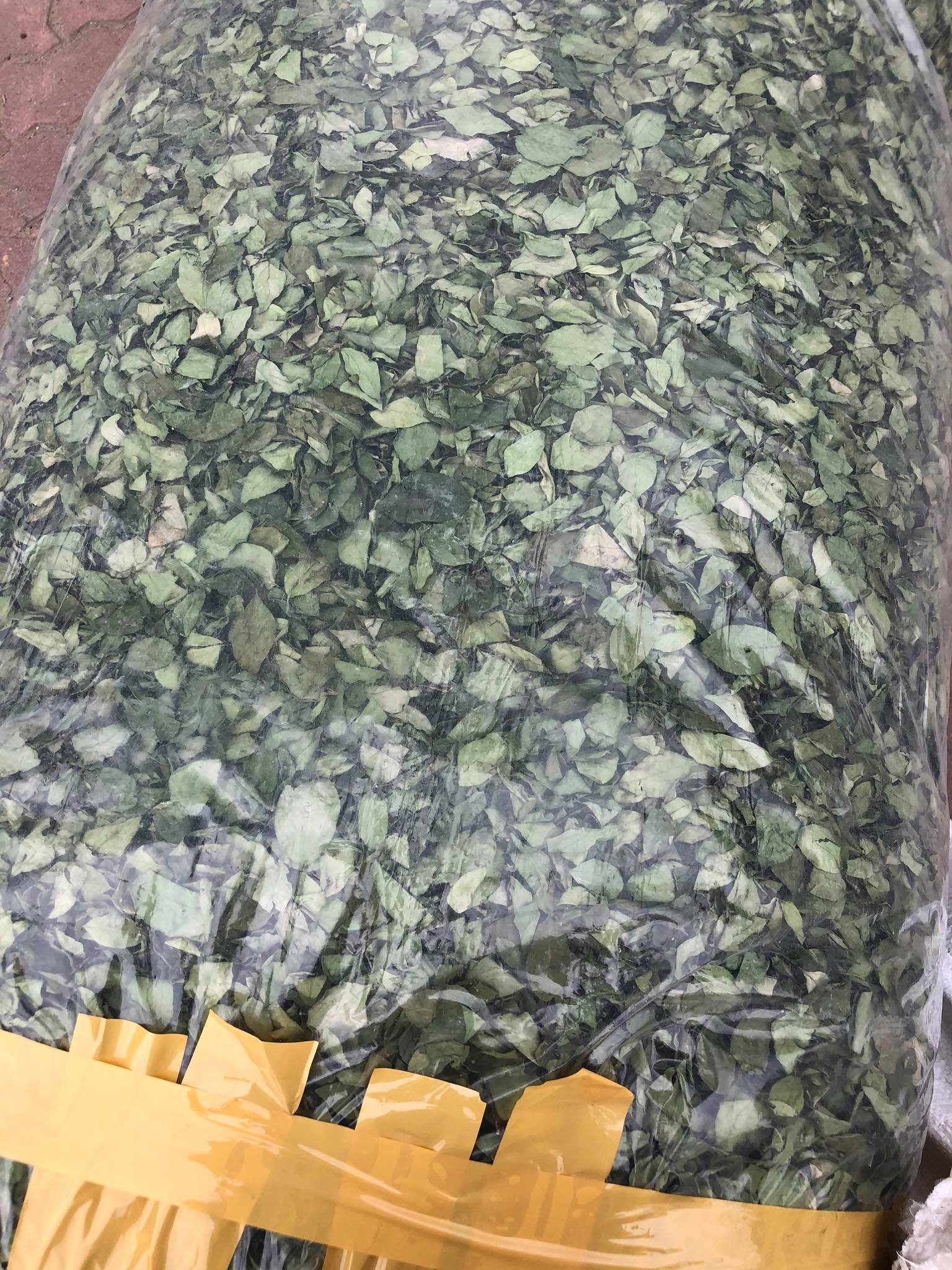 Lá thạch găng 1kg