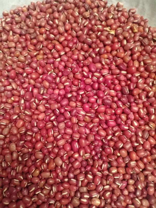 Đậu đỏ 1kg