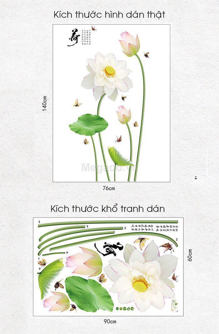 Decal dán tường mẫu hoa sen trắng
