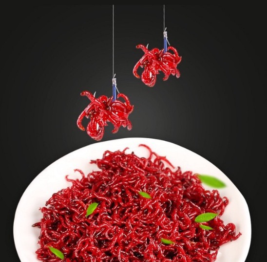 Chun buộc mồi CÂU ĐÀI