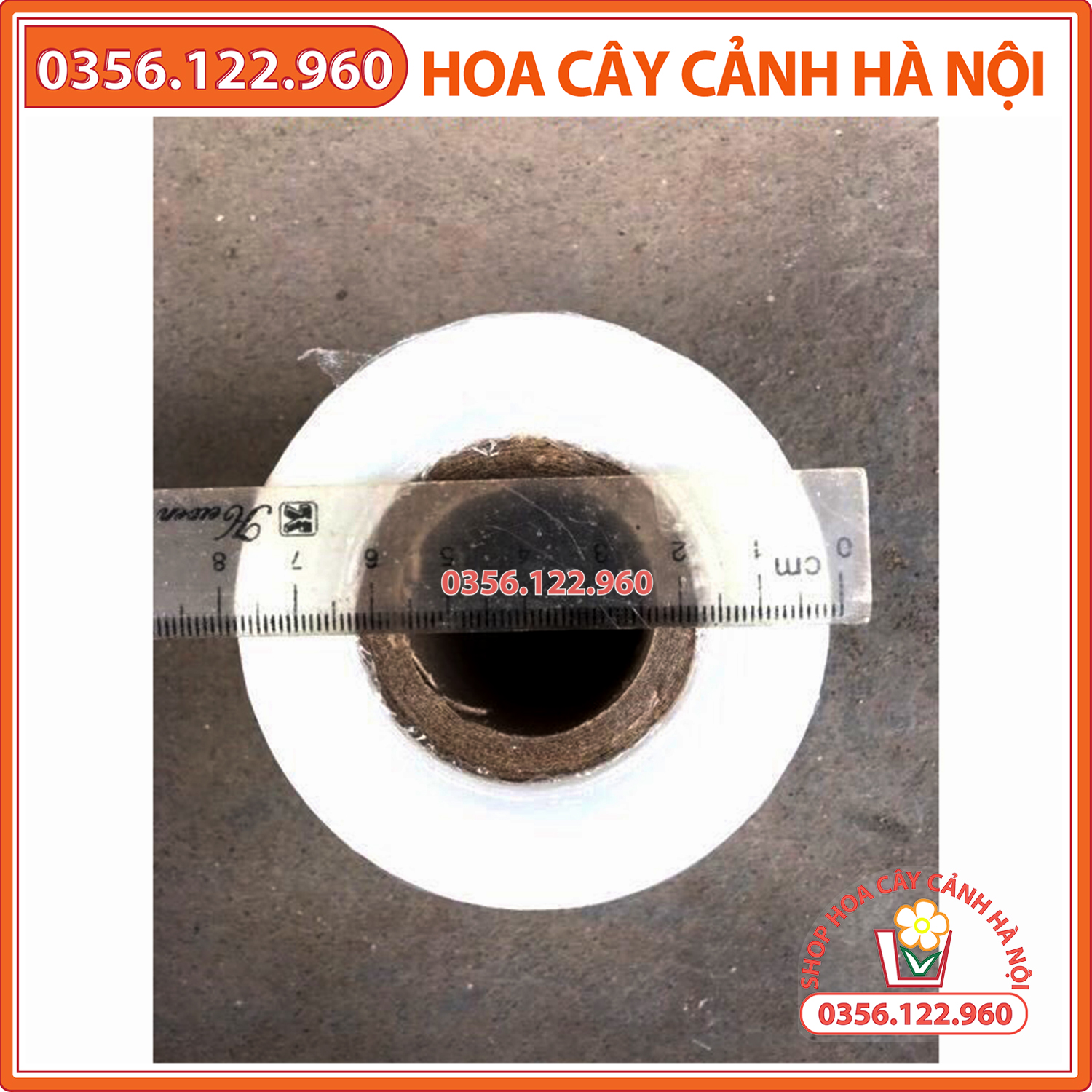 GHÉP CÂY TỰ HỦY CHUYÊN DỤNG khổ 3cm