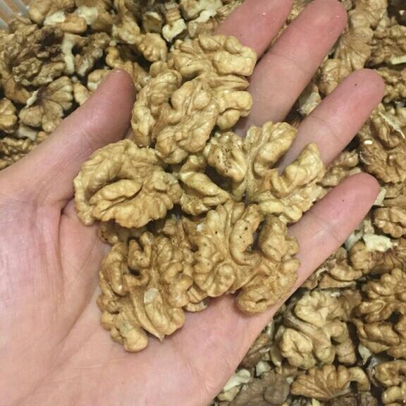 1kg quả óc chó rừng