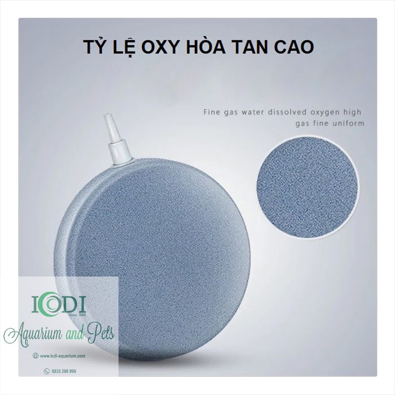 Đĩa sủi oxy cho bể cá cảnh bể thủy sinh