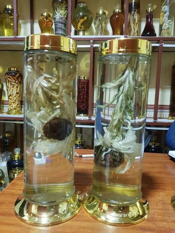 Thiên sơn tuyết liên