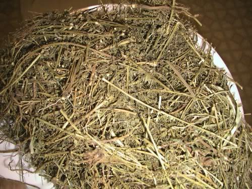 1kg diệp hạ châu-chó đẻ răng cưa (khô, sạch, đẹp)