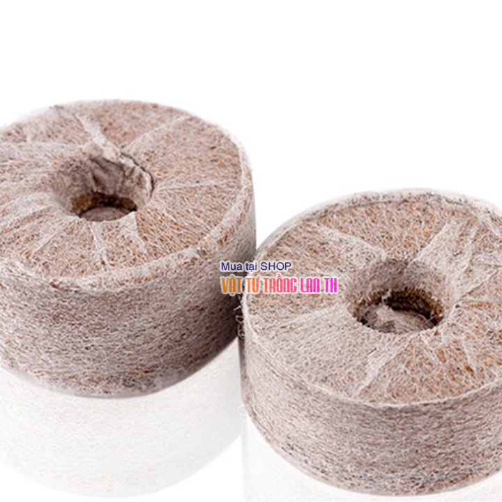 20 viên nén ươm hạt xơ dừa