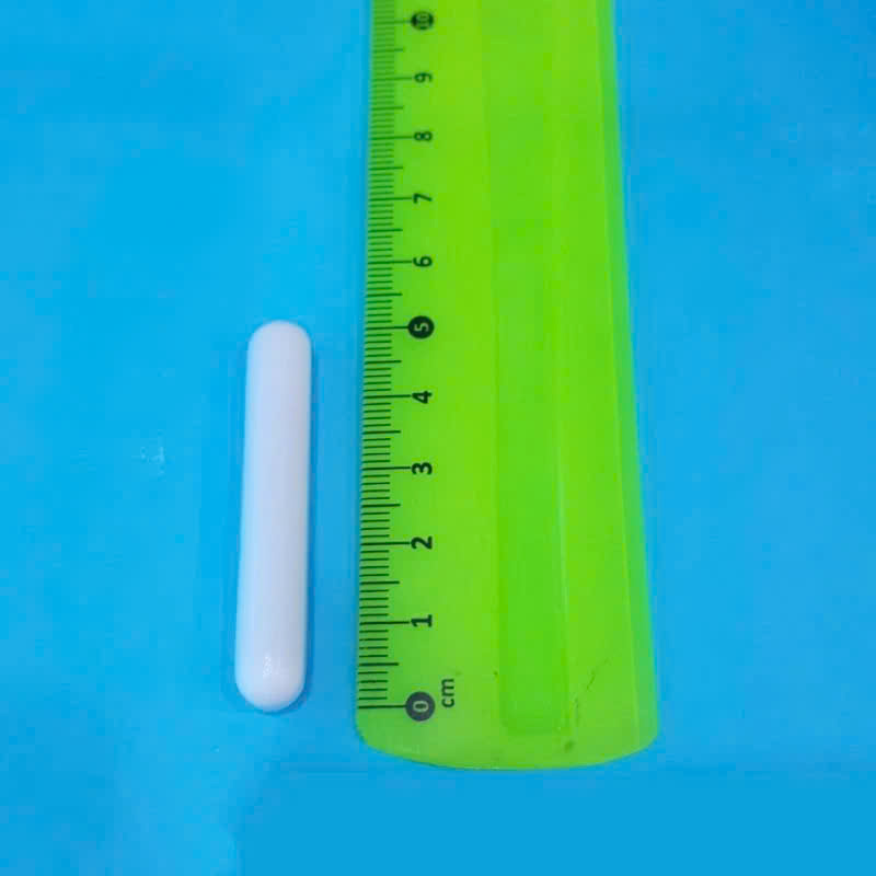 [HCM]Cá từ nam châm con nhộng con khuấy từ 4cm