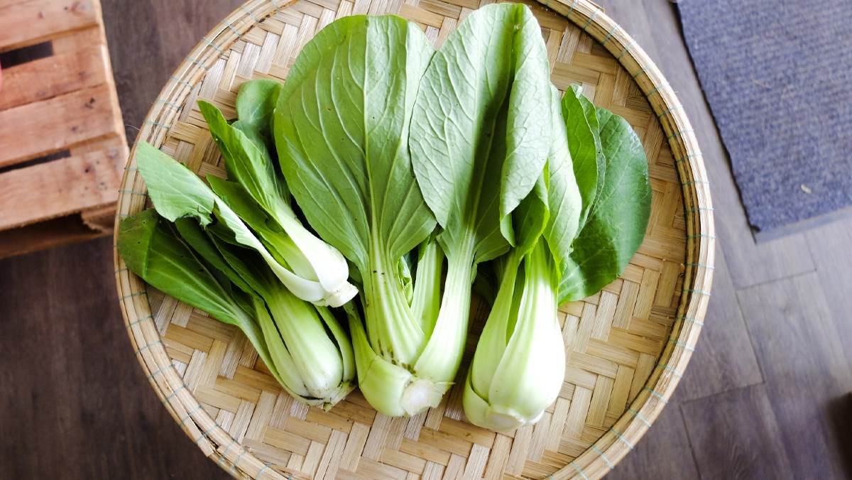 Cải Thìa