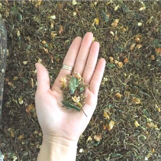 2kg trà sơn mật hồng sâm