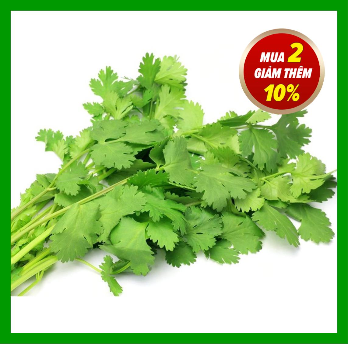 Ngò Bạc Liêu