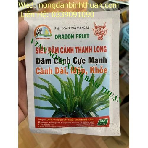 Kích chồi thanh long, siêu đâm cành thanh long