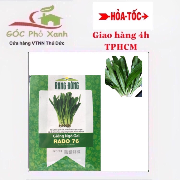 Hạt giống ngò gai