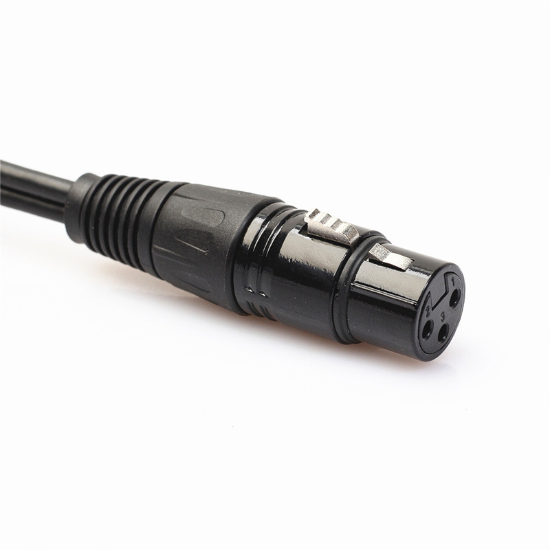 Dây Audio 6.5mm ra 2 Jack Canon Cái dài 1m