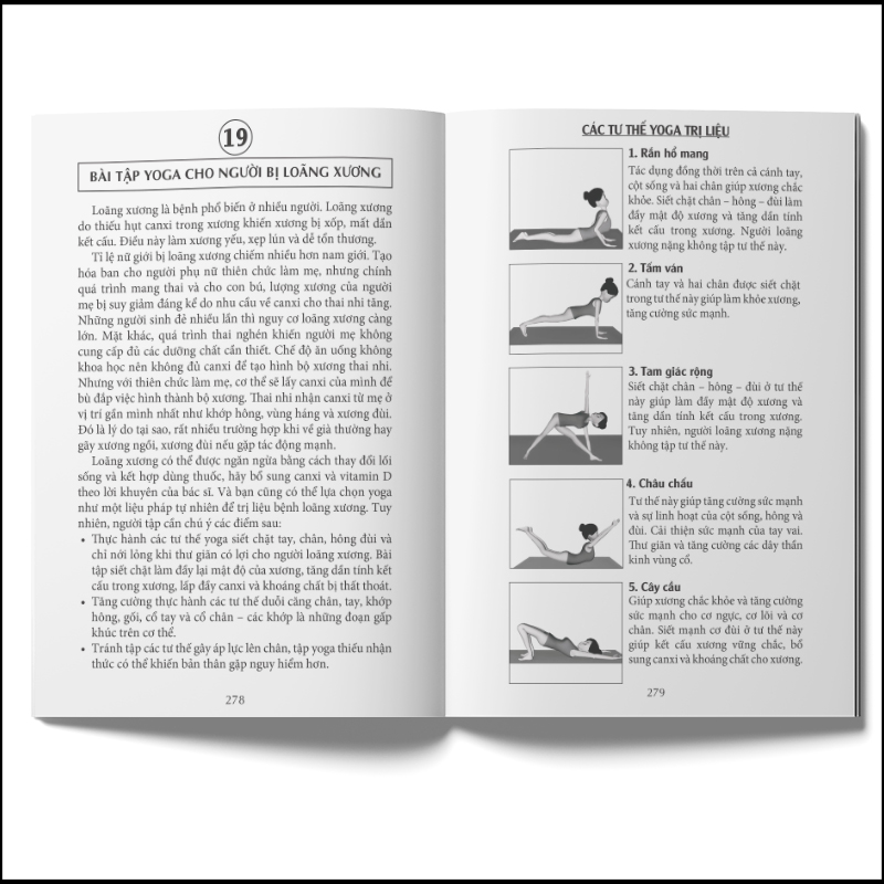 Sách - Yoga cho người mới bắt đầu