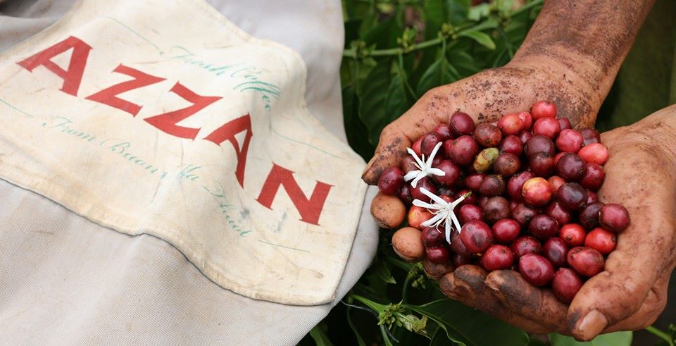 Azzan Aroma 250g– AZA/ Cà phê pha phin Blend (Robusta & Arabica)