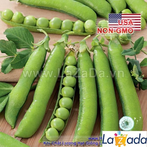 10Gr Hạt Giống Đậu Hà Lan (A2.303| Y25*W23*M030)