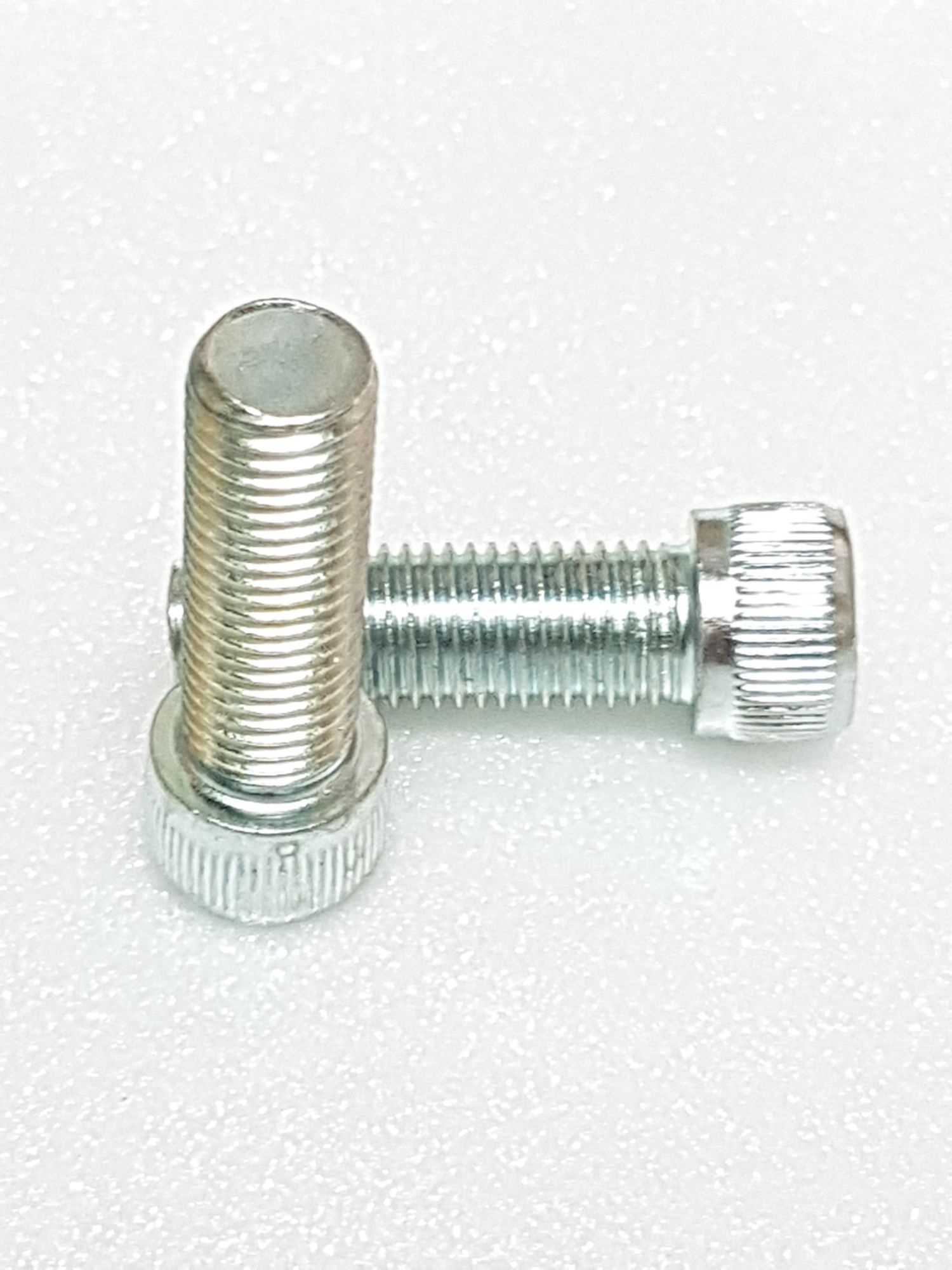 [HCM]ỐC KIẾNG RĂNG NGƯỢC 10LY x3CM x2 CON XI
