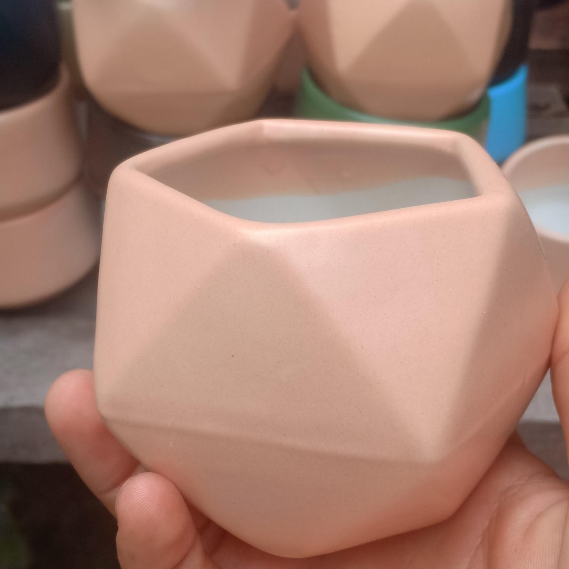 Combo 3 Chậu sen đá ( cả cây và chậu )