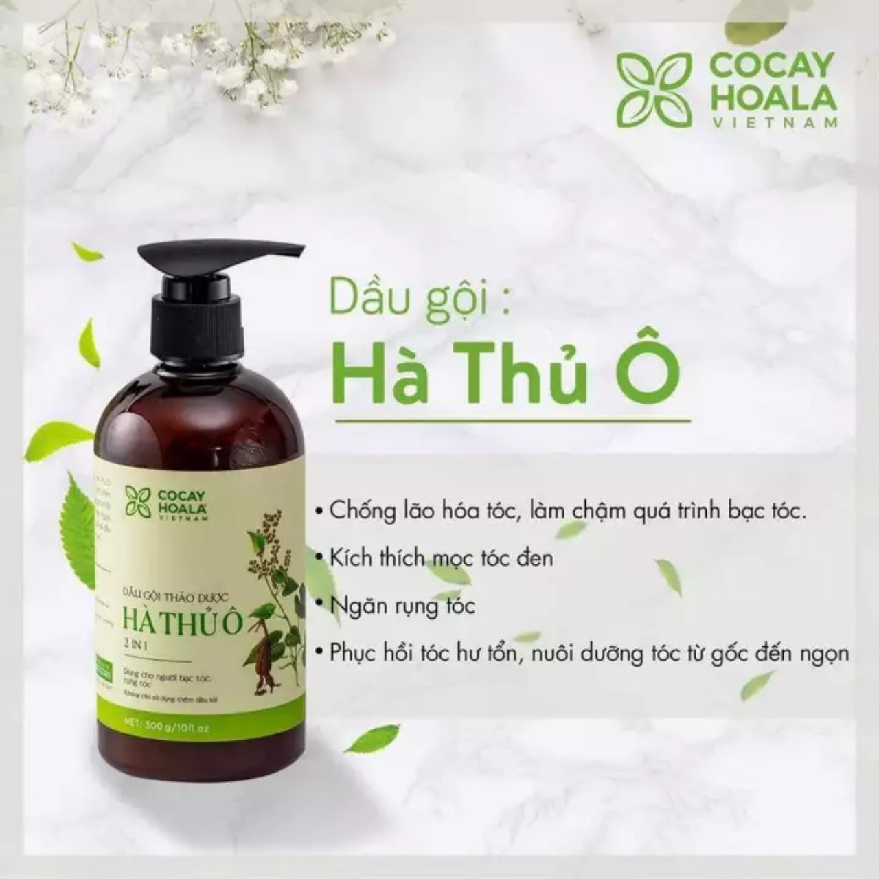 Dầu Gội Thảo Dược Hà Thủ Ô