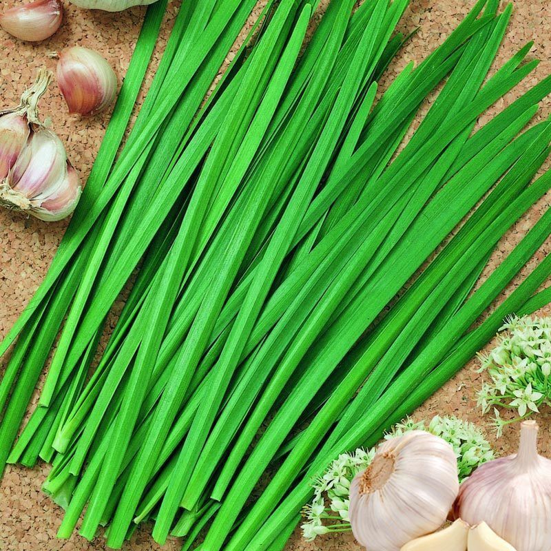 1Gram Hạt Giống Hẹ Lá Duyên Hải