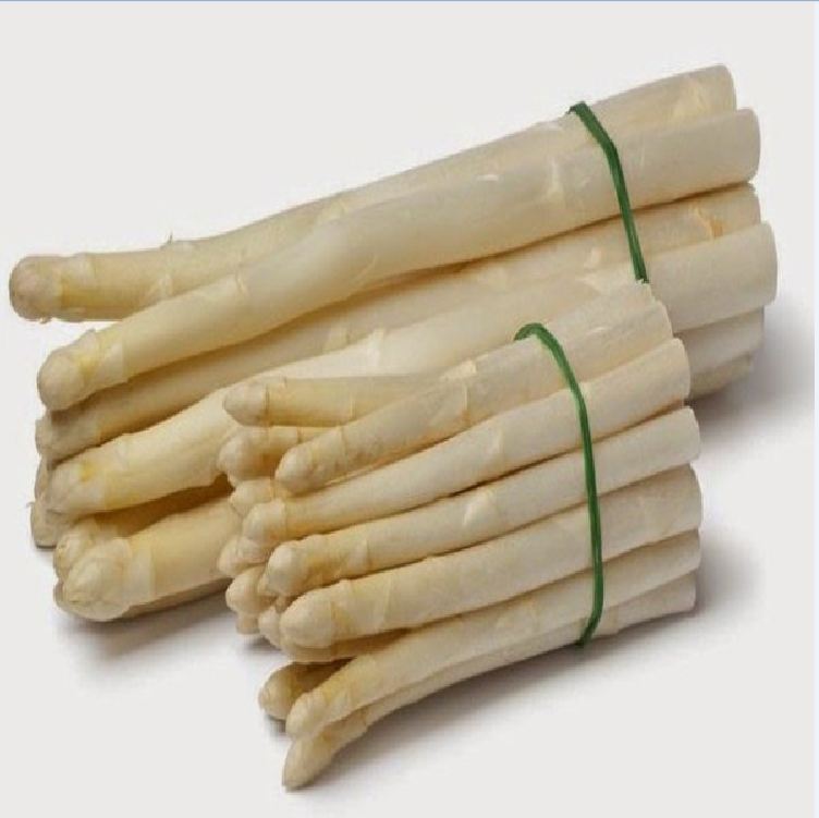 Hạt giống Măng Tây Trắng F1 ( Gói 20 hạt - Tặng gói kích thích hạt nảy mầm )