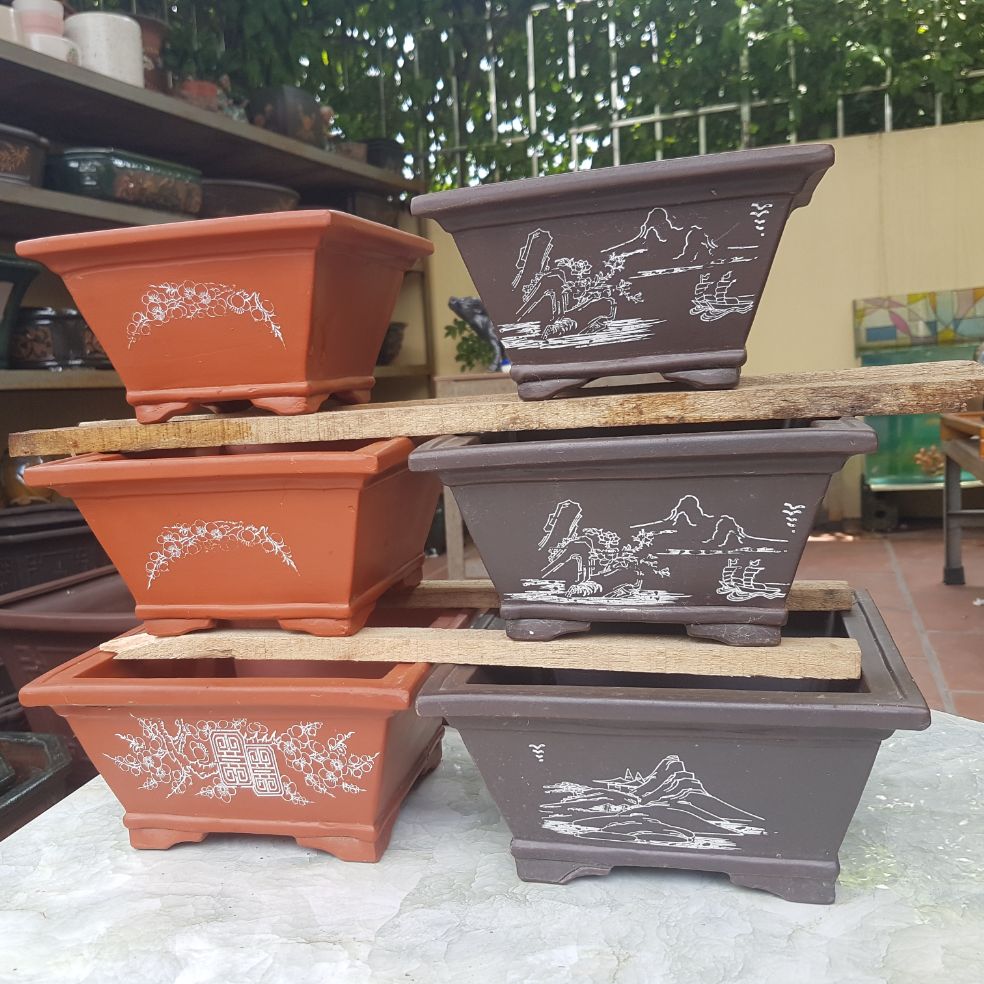 Bộ chậu vuông mini