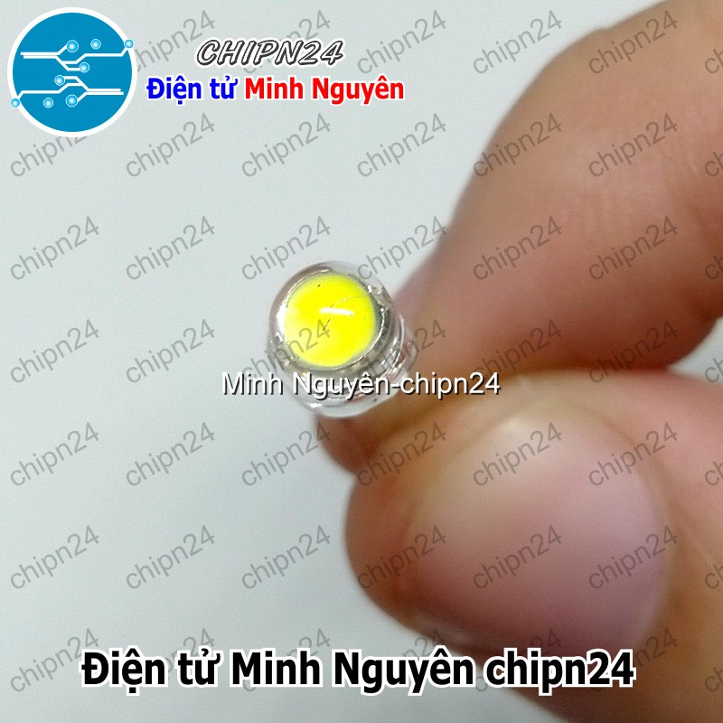 [10 con] (TK5) Led 5mm Lùn Tim Lớn (Đỏ/Vàng/Xanh Lá/Dương/Trắng/Ấm) - [Chọn Loại] - HHH.00232