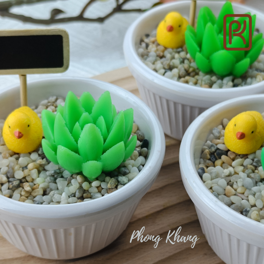 Khuôn silicon 4d Phong Khang làm rau câu sen đá