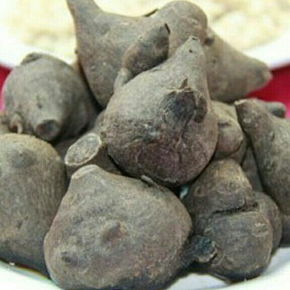500g củ ấu tẩu khô
