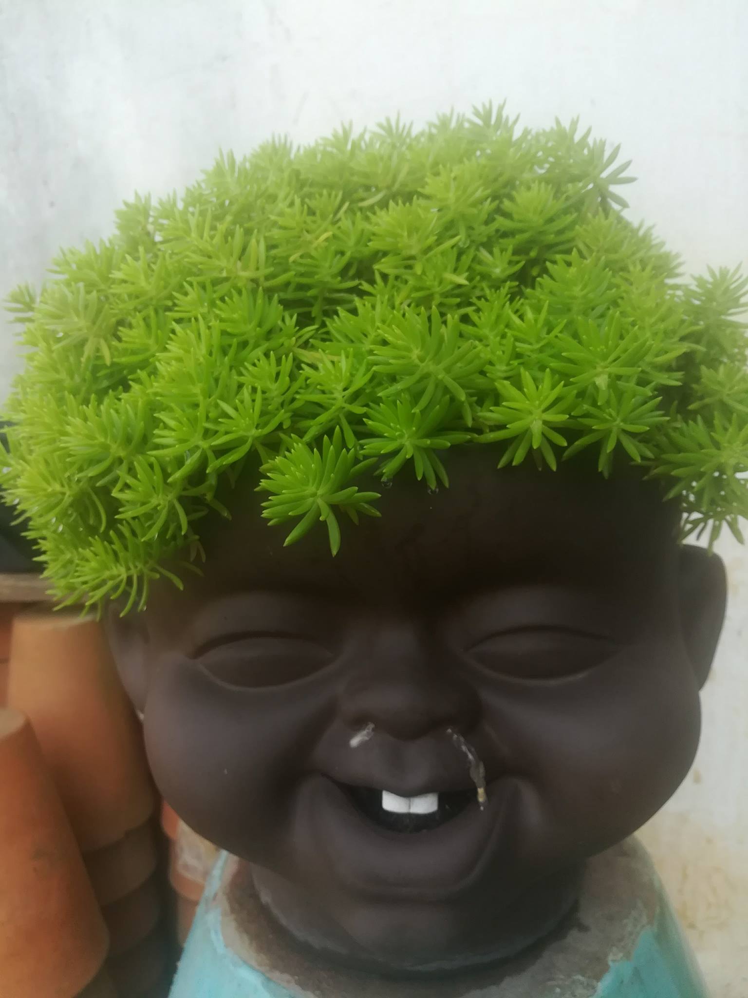 CHẬU ĐẤT NUNG TÍ SÚN (NHỎ)
