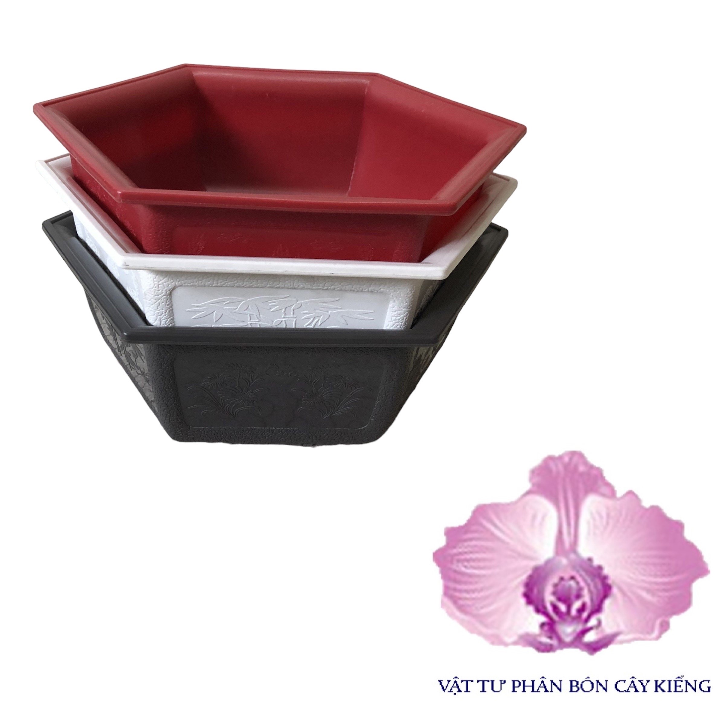 Chậu Lục giác Bonsai Mini - #019D# 21x8cm