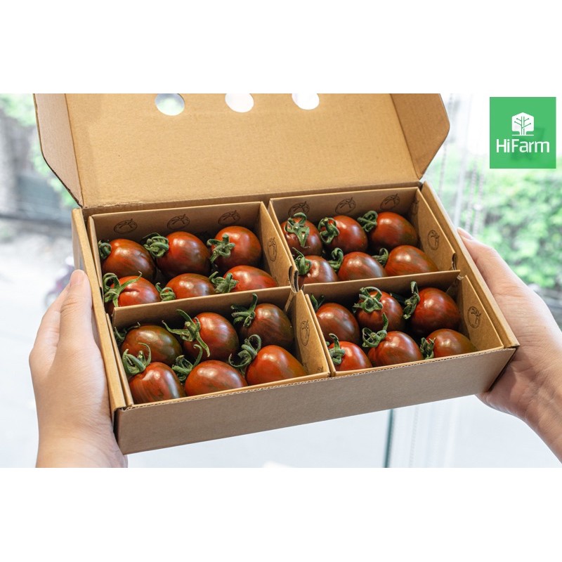 [HCM]Hạt Giống Cà Chua Bi Socola | SL: 5 HẠT