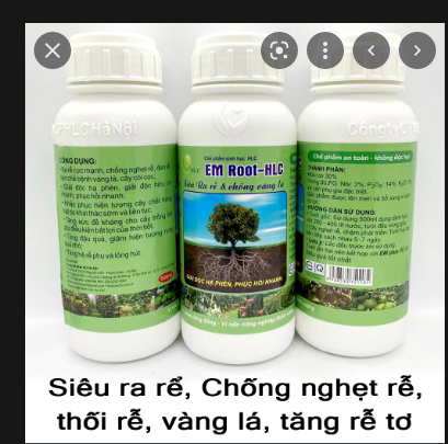 Ra rễ cực mạnh- bật đọt - hạ phèn giả độc - em root- hlc. chai 500 ml