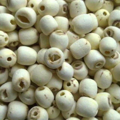 1 kg of Dong Thap Dried Lotus Seeds - Soft and Chewy Lotus Seeds